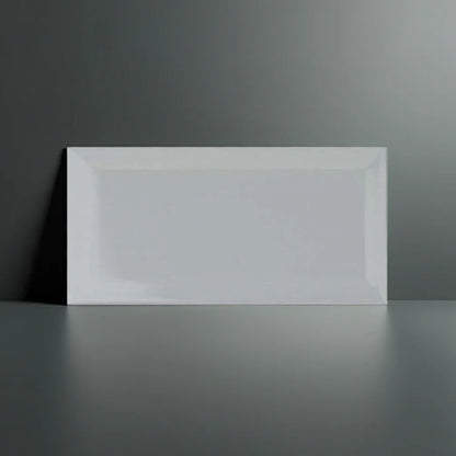 Metro Light Grey Gloss 10x20cm - Metro Tiles
