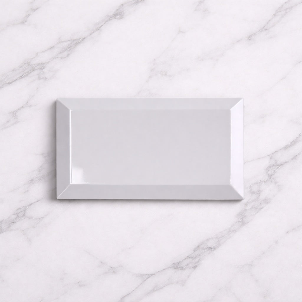 Metro Light Grey Gloss 10x20cm